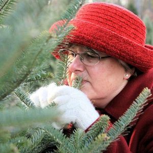 Marianne L. McVoy