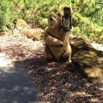'BIG BEAR'