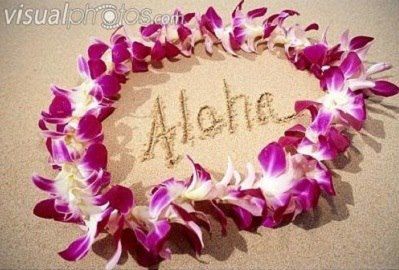 aloha friend  