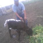Gerardo Herrera