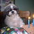 3rd birthday you through for me 3rd birthday you through for me