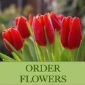 flowers logo