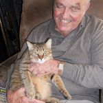fat cat..Winston