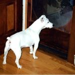 Jimmy at door
