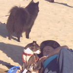 Stan with his dog Scrappy, on the beach