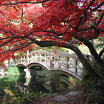 Kazuko Hill