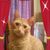 Daddy's boy Garfield Daddy's boy Garfield