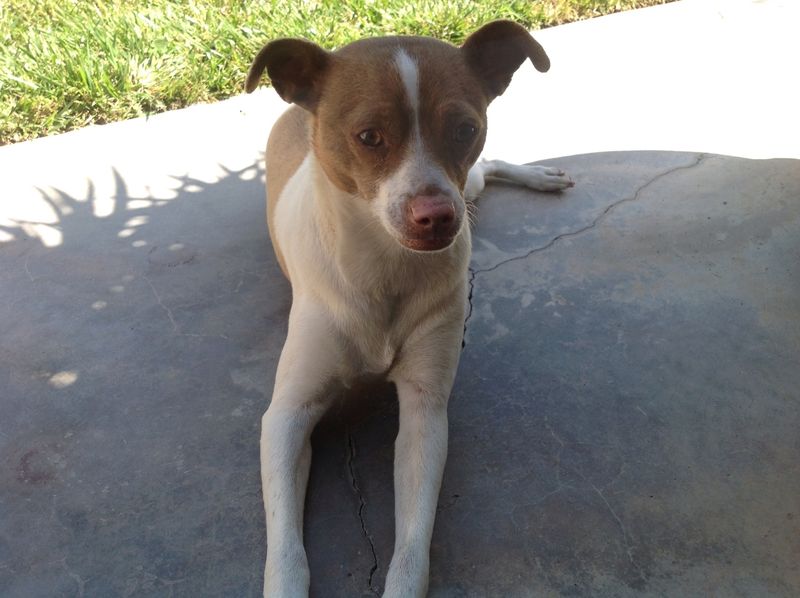 Hi Nathan I played with Kobe today. I know how much you Loved him your mom and I are taking good care of him. I Love you and miss you. Love Cesar.
