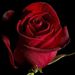 Rose A. Smith Obituary Photo