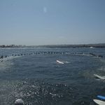 Over 100 of Adrian's surfer buddies, family and friends held a paddleout to honor Adrian and scatter his ashes this morning, July 18, 1979.