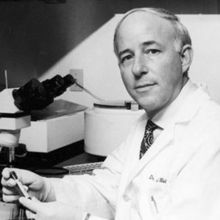 Dr. Joel  Weisman