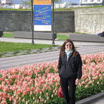 In Quebec 2008