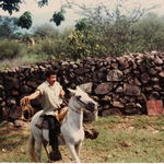 Riding my Grandfather's Horse