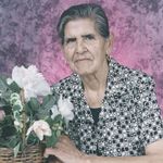 CONSUELO  RIOJAS