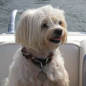 Mika Melius
