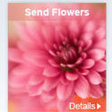  Send Flowers 