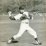 ARNOLD W. OTTO