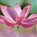 Suchuan L. Wu