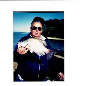 Nick Pancotto