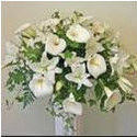 flowers logo