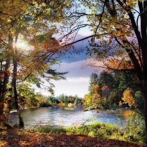 Dale Frederick Auch