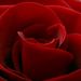 David Thomas Sikes Obituary Photo