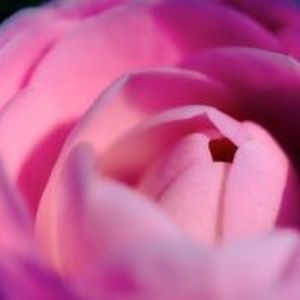 Delores Kay Trull