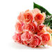 Odila Camacho de Acosta Obituary Photo