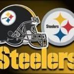 STEELER FAN