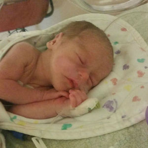 Quinn Charlotte Sitcler