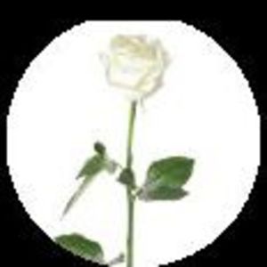 Dorothea Emma Chisholm