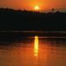 Corrine L. Wolfe Obituary Photo