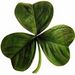 Mary V. Jerome Obituary Photo
