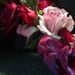 Loretta M. Mathison Obituary Photo