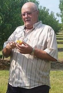 Mario Ugo Basile