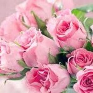 Gladys M. (Welch) Singleton