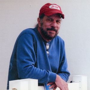Domenic A. DeAngelis
