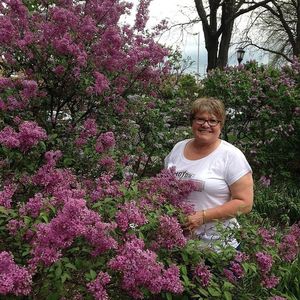 Carrie Rice Obituary Lombard Illinois West Suburban Funeral Home Cremation Services