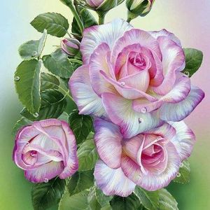 Gloria K. McLaughlin