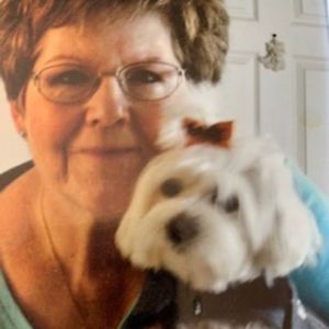 Nancy Lolli