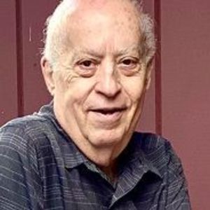 Mr. Domenic A. DiGiorgio