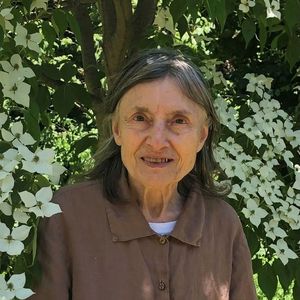 Joyce P. Melillo