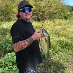 Tyler D. Coleman