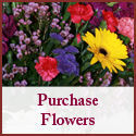 flowers logo