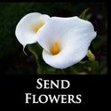 flowers logo