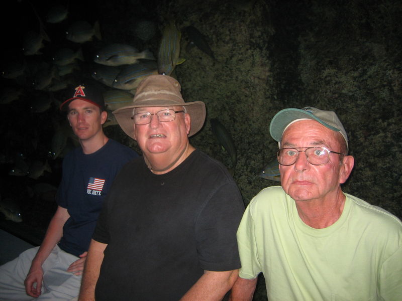 roger kelly illinois obituary barrington roger kelly illinois obituary barrington