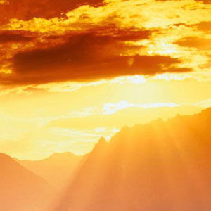 Record image of Theresa L. Murphy