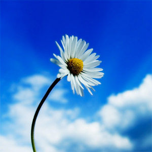 Record image of Margaret E. Pearce