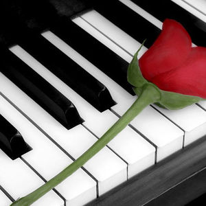 Rose DeSisto