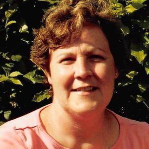 Tracy Sheehan